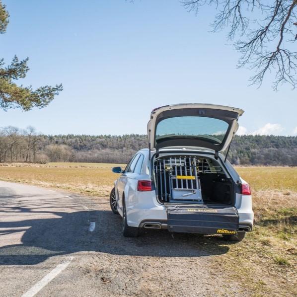 таксі візит