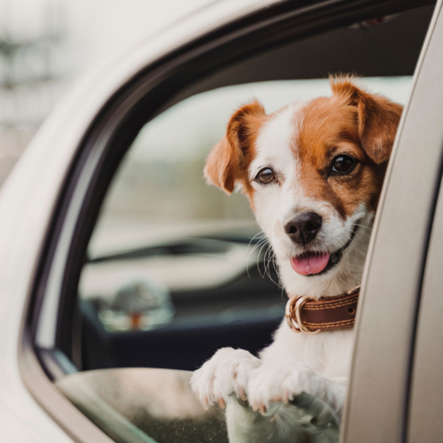 таксі візит